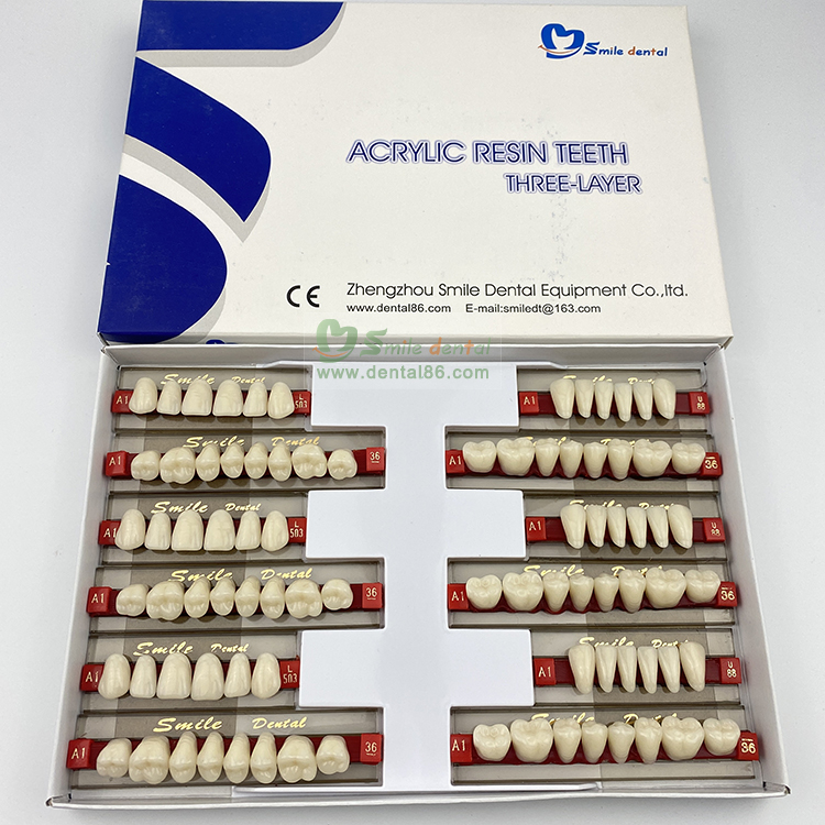 Acrylic Resin Teeth Three-Story